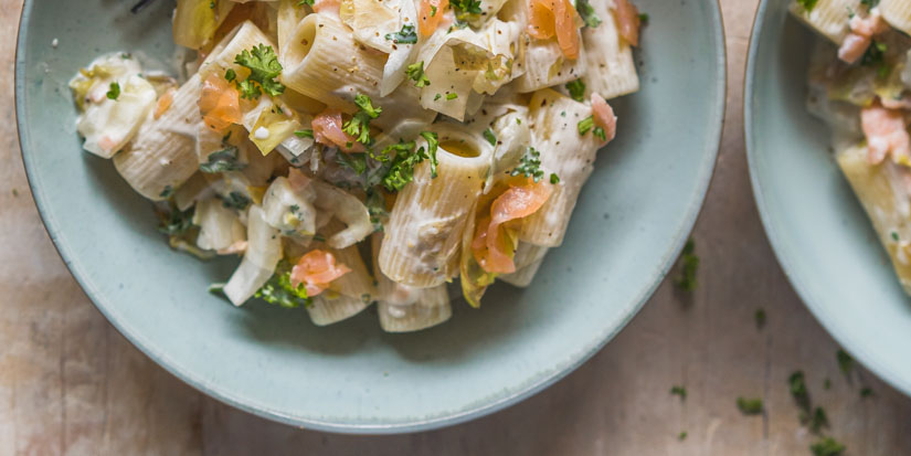 Romige Pasta Met Witloof En Zalm Heerlijk Doordeweeks